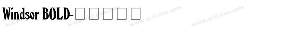 Windsor BOLD字体转换